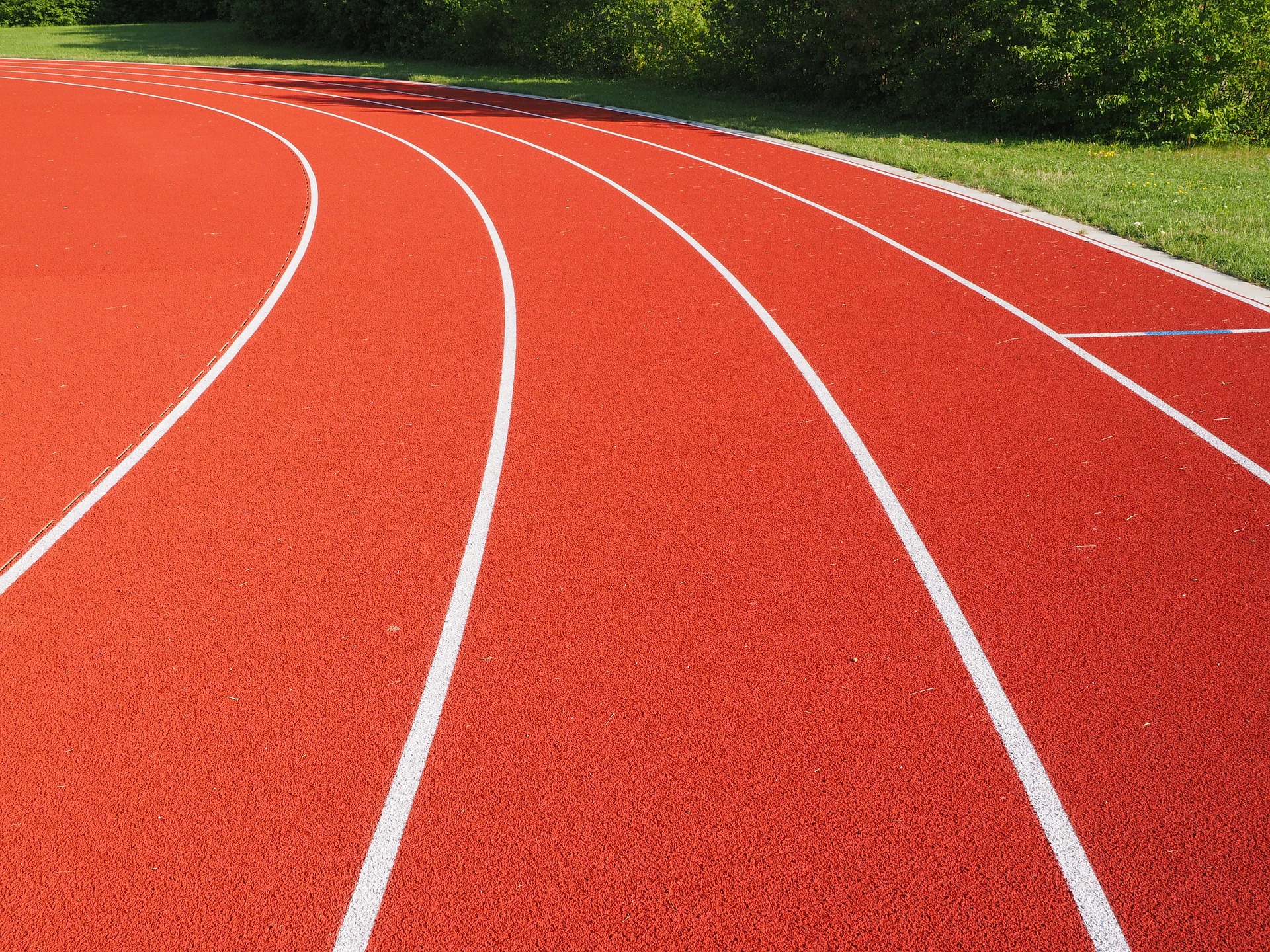 Bolesłavia z kolejnymi osiągnięciami. Z Mistrzostw Dolnego Śląska Juniorów i Młodzików wracają z medalami!