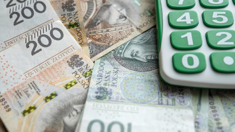 Dotacje na prace konserwatorskie i restauratorskie zabytków w Bolesławcu wynoszą 500 tys. zł