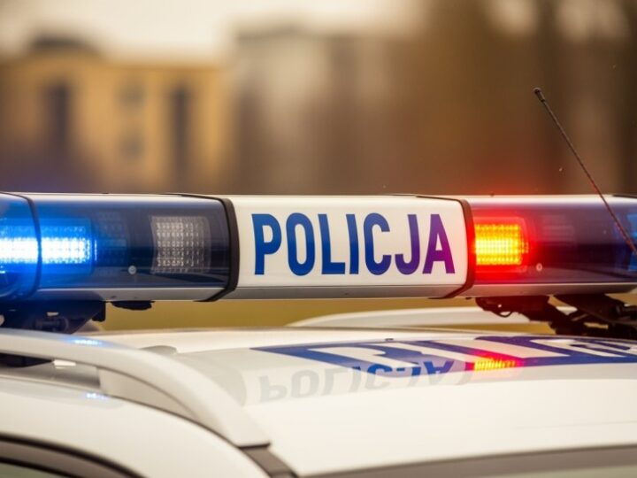 Siedem osób poszukiwanych w rękach bolesławieckiej policji