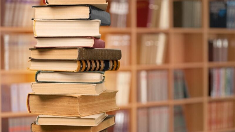 Zimowe sekrety ogrodników: spotkanie dla pasjonatów roślinności