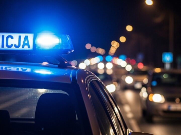 Intensywne poszukiwania w powiecie bolesławieckim: zatrzymano osiem osób