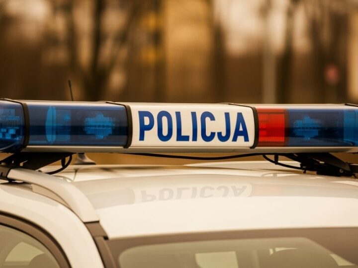 Policjanci z Kruszyna ratują uwięzioną sarnę z ogrodzenia