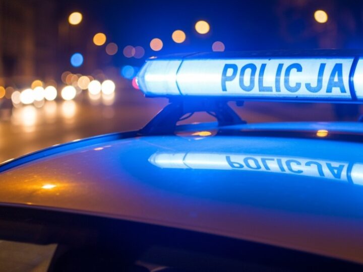 CHOINKA” – Policja i Straż Leśna walczą z kradzieżami choinek