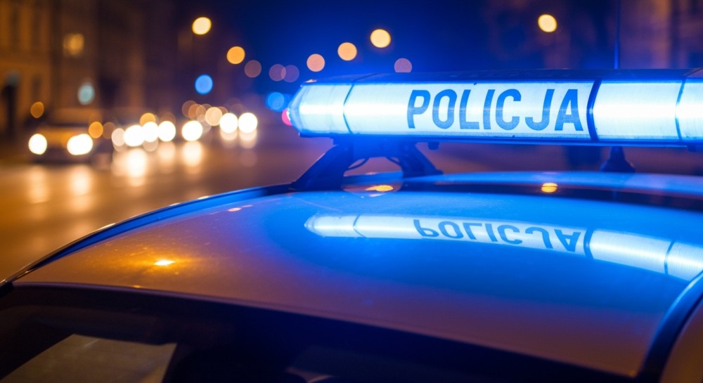 CHOINKA” – Policja i Straż Leśna walczą z kradzieżami choinek