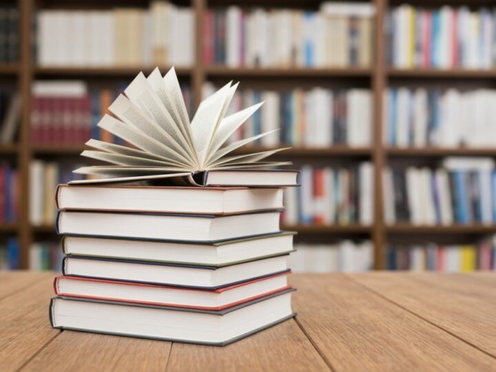 Nowa odsłona Biblioteki Miejskiej w Nowogrodźcu już dostępna!