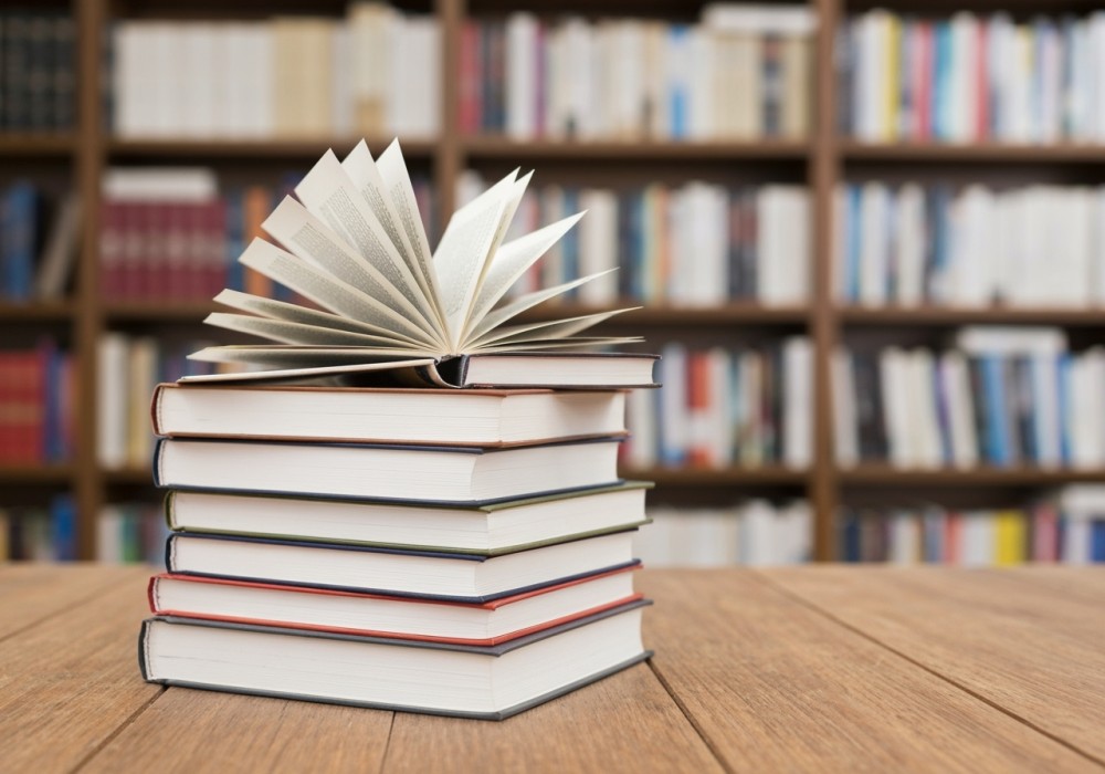 Nowa odsłona Biblioteki Miejskiej w Nowogrodźcu już dostępna!