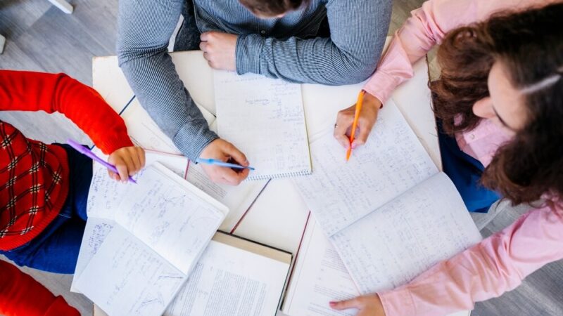 Las w edukacji: jak uczniowie odkrywają jego tajemnice?