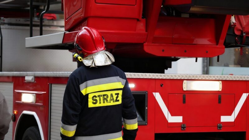 Strażacy w Bolesławcu inspirują młodych podczas Dni Kariery