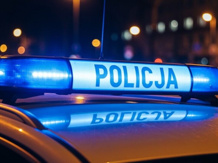 Skuteczne metody ochrony przed kradzieżą samochodu