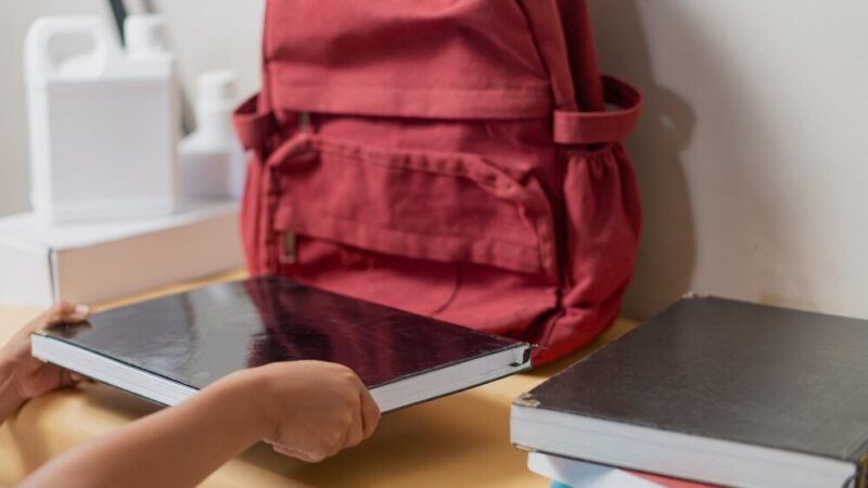 Uczniowie z Nowej Wsi zgłębiają ekologię i samorząd w Nowogrodźcu
