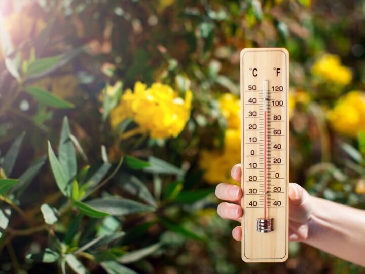 Wspaniałe chwile na basenie – do zobaczenia jutro!