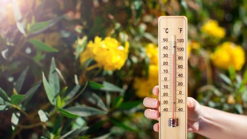 Wspaniałe chwile na basenie – do zobaczenia jutro!