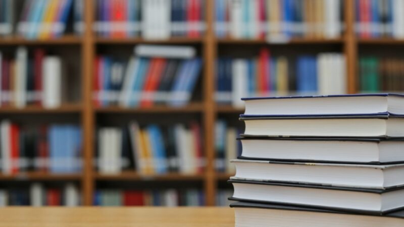 Zemsta z przeszłości w powieści „Drzewa” Percivala Everetta