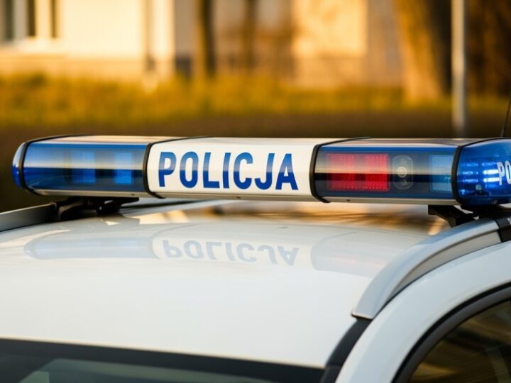 Policjanci uwolnili lisa uwięzionego w metalowej siatce