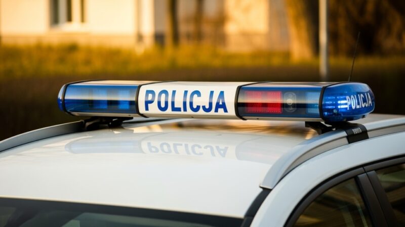 Policjanci uwolnili lisa uwięzionego w metalowej siatce