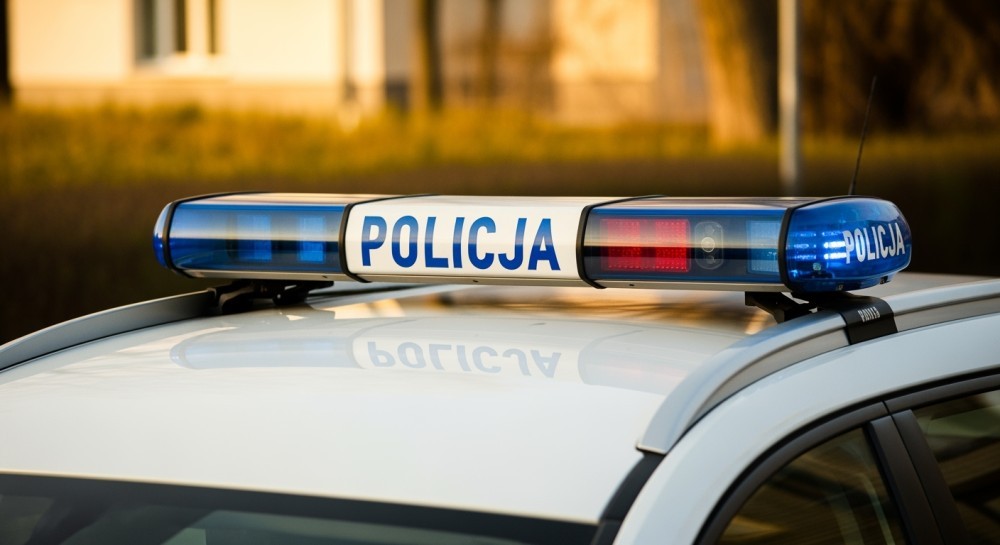 Policjanci uwolnili lisa uwięzionego w metalowej siatce